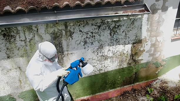Top rated local Mold Remediation specialists in Castleton, VA